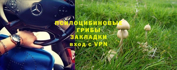 бутират Медвежьегорск